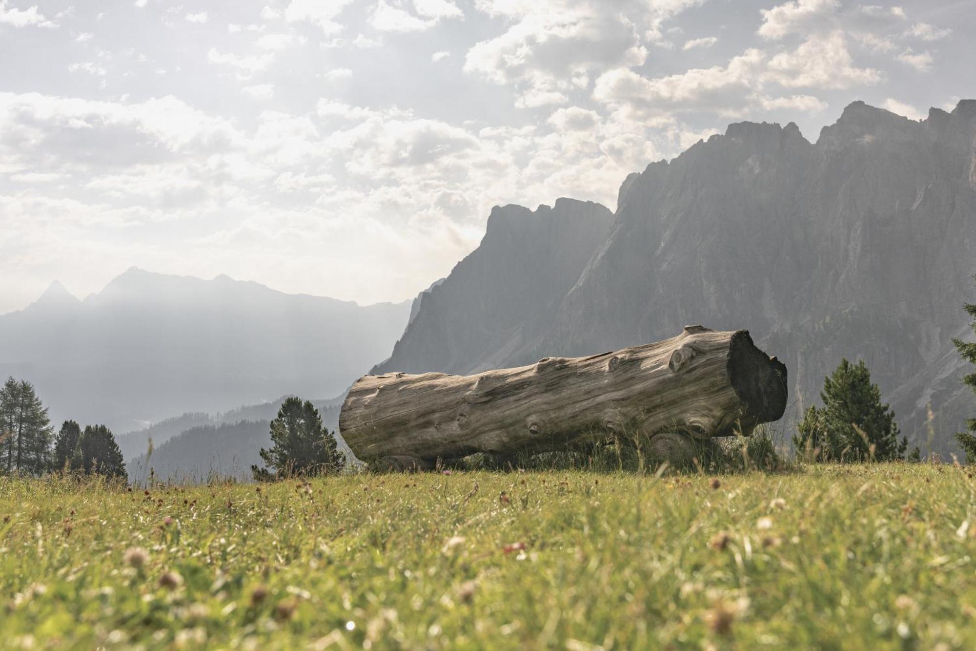 Ciasa Iachin - Dolomites Dream Retreat Apartment San Martino in Badia Exterior photo