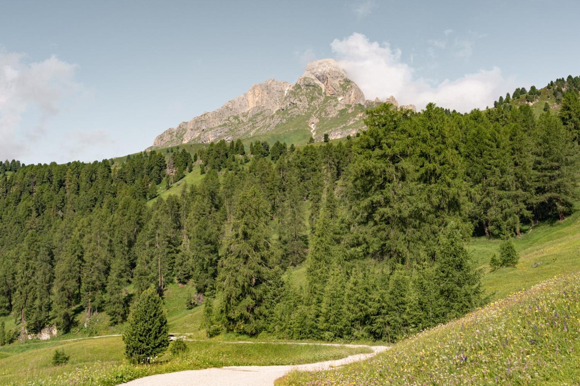 Ciasa Iachin - Dolomites Dream Retreat Apartment San Martino in Badia Exterior photo